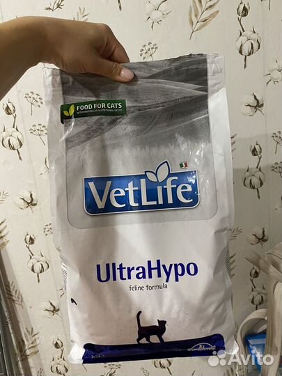 Кошачий сухой корм