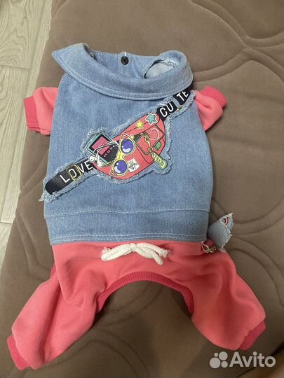 Одежда для маленьких собак