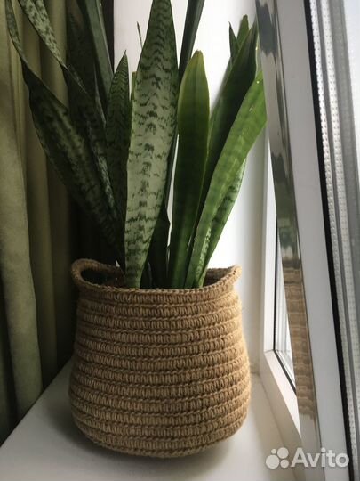 Кашпо из джута