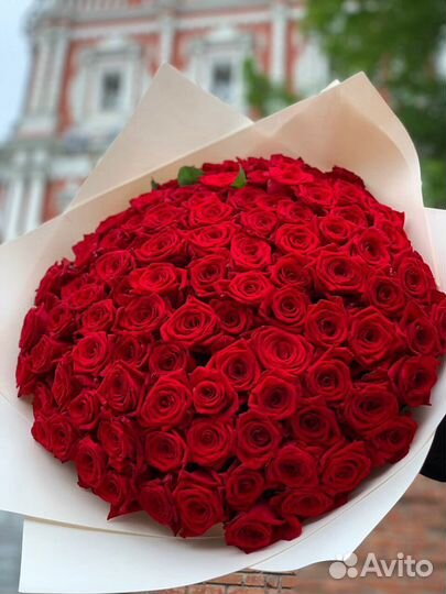101 роза красная Роскошный букет