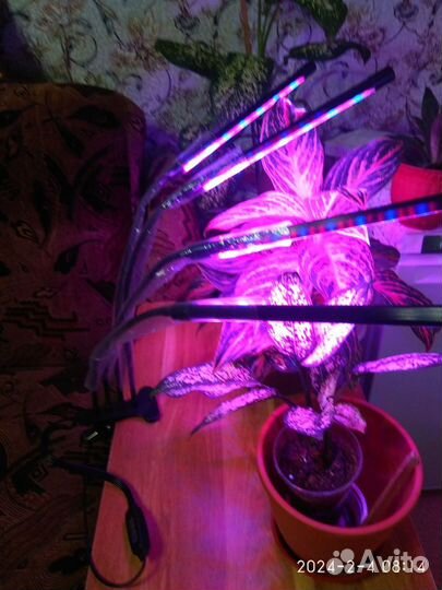 Светодиодная лампа для растений на прищепке