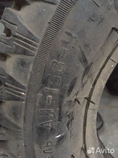 Accelera Accelera R13