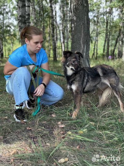 Замечательная Гренка в поисках дома