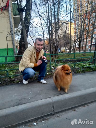 Макетчик (фрилансер)