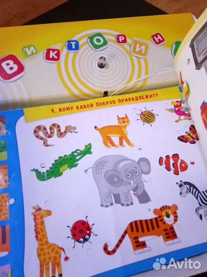 Настольные игры, электровикторина