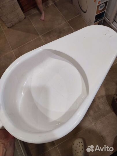 Утка медицинская