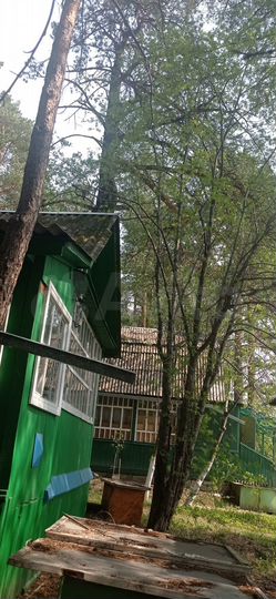 Дом 36 м² на участке 7,8 сот.