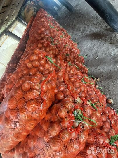 Картофель и много другое