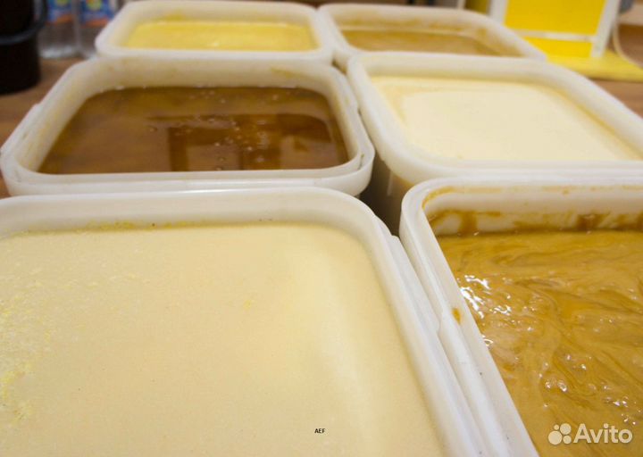 2024 Мед натуральный из Алтая опт