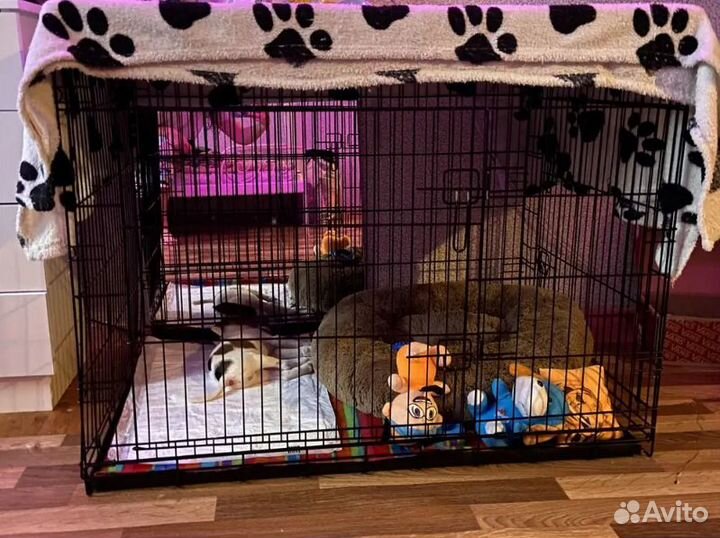Клетка для собак №5 новая