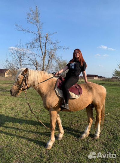 Конные прогулки / Прогулки на лошади