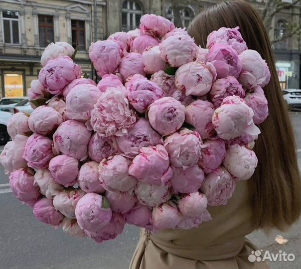 Цветы пионы Букет пионов Пионы Цветы