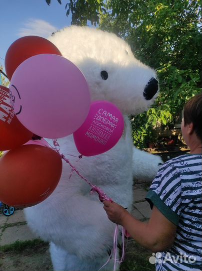 Белый мишка панда чебурашка аниматоры