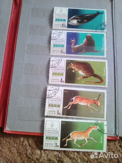 Комплекты марок много