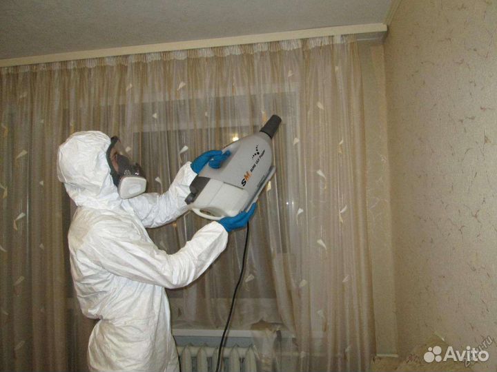 Уничтожение Тараканов Клопов Блох Ос Муравьев Клещ