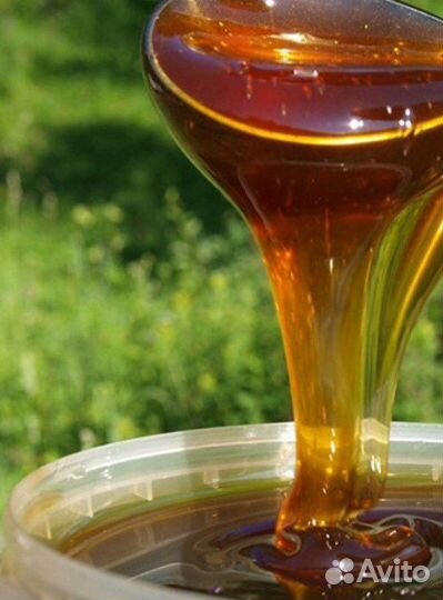 Натуральный мёд, без примесей и добавок