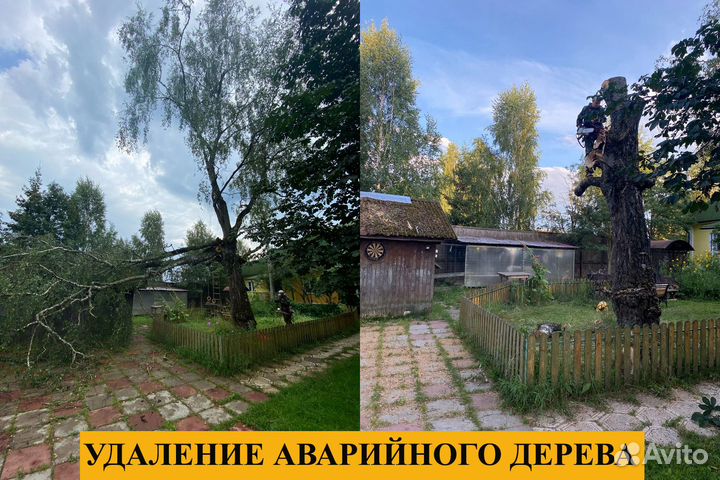 Спил деревьев,санитарная обрезка,кронирование