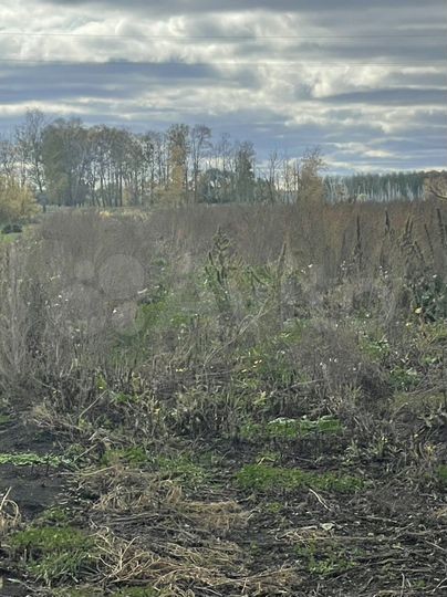 Дача 25 м² на участке 50 сот.