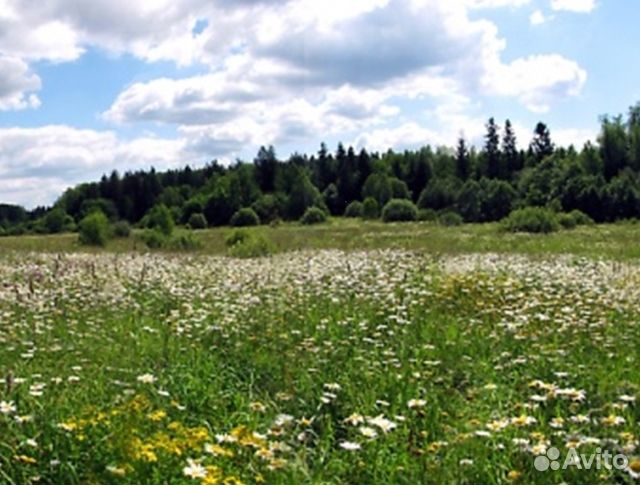 Мед 24 года натуральный опт