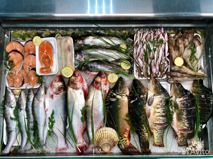 Продается готовый бизнес – рыбный магазин