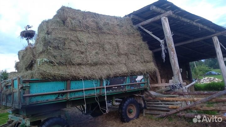 Сено в тюках