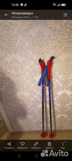 Лыжные палки