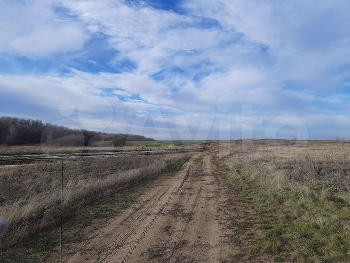 Участок 53 га (СНТ, ДНП)