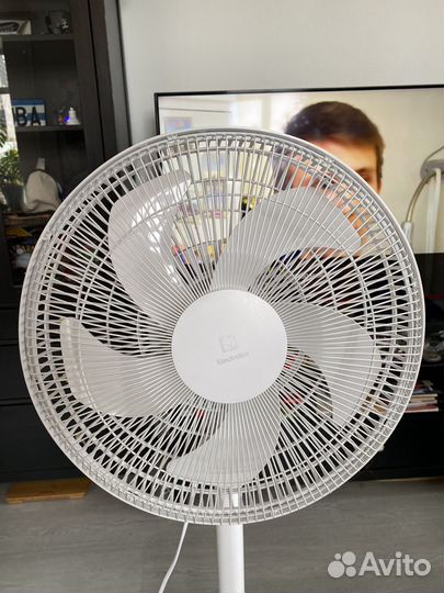 Вентилятор electrolux EFF-1005