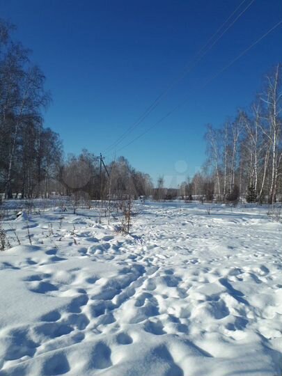 Участок 32 сот. (СНТ, ДНП)