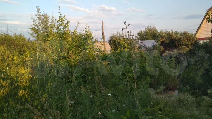 Участок 5,9 сот. (СНТ, ДНП)