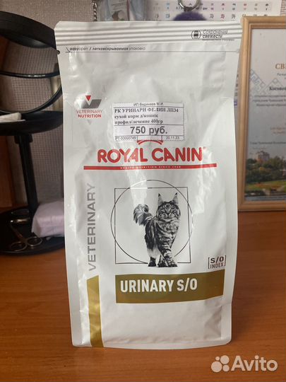 Корм для кошек лечебный