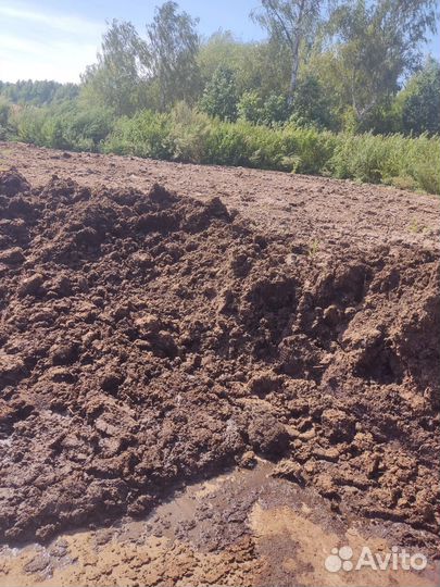 Коровий навоз