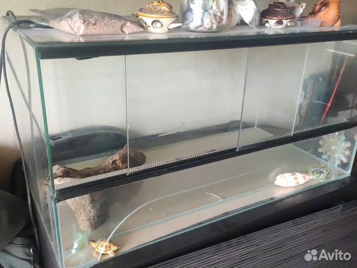 Террариум для сухопутной черепахи