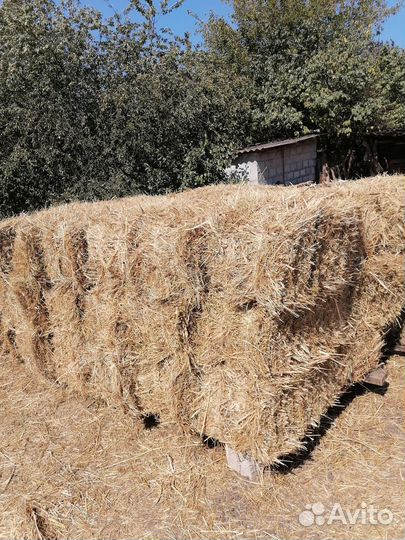 Сено в тюках