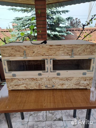 Брудер для цыплят, утят, индюшат