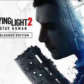 Dying Light 2 PS4/PS5 RU