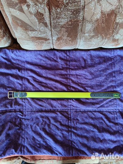 Ошейник для собак