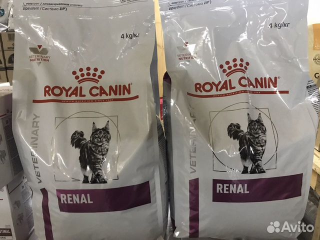 Корм для кошек royal canin renal