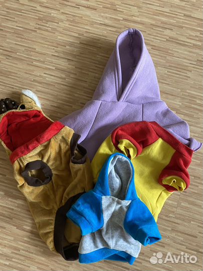 Одежда для собак и кошек