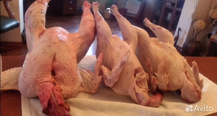 Петухи домашние мясом