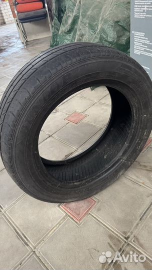 Dunlop All Season Maxx AS1 195/55 R15