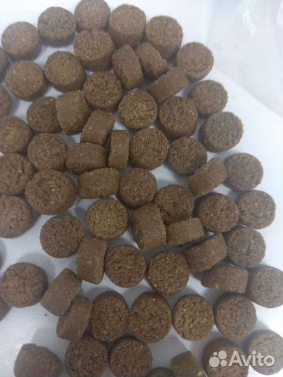 Корм для собак