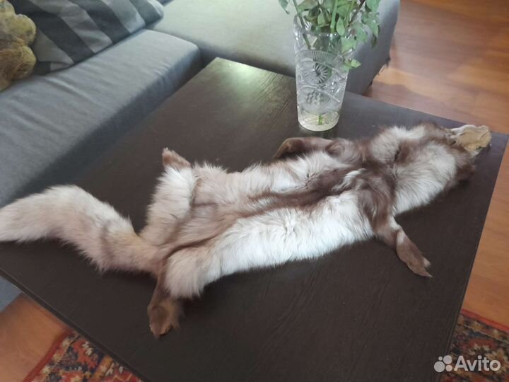 Мех песец чулок