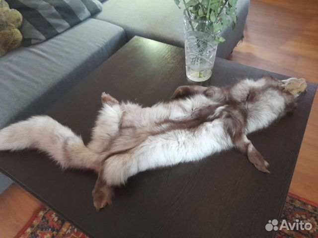 Мех песец чулок