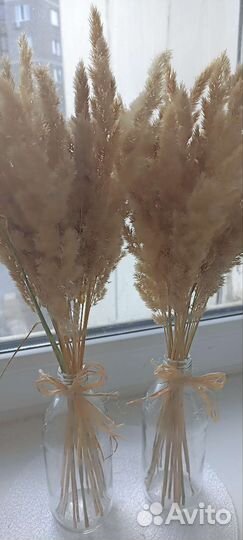 Композиция из сухоцветов