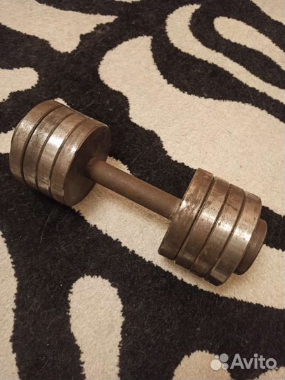 Гантель 13кг