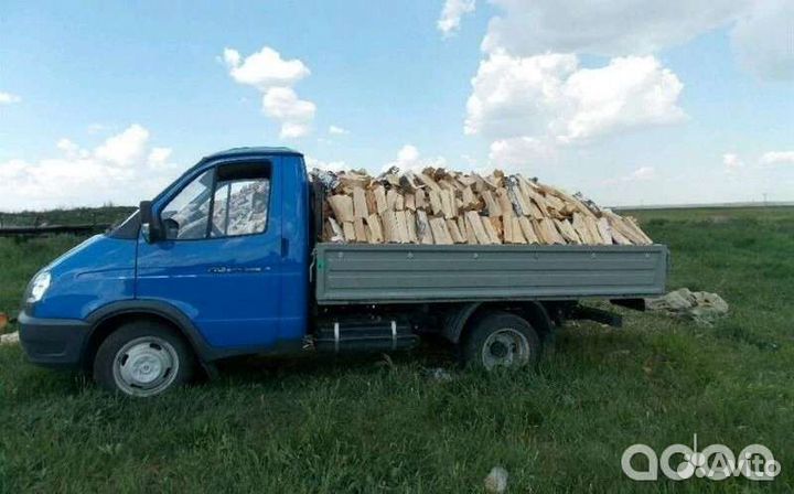 Дрова березовые колотые с доставкой