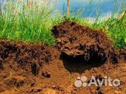 Чернозем полевой грунт без посредников