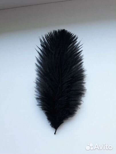 Перья страуса