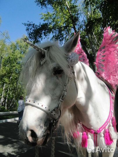 Рог единнорога от мастерской Пегас